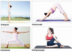 Các Động Tác Yoga Cơ Bản Cho Người Mới Bắt Đầu