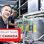 Các Ngành Học Của Canada 2023 Và 2024 Hindi Movies