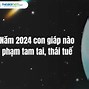 Năm 2024 Là Năm Tam Tai Của Con Giáp Nào