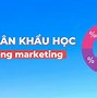 Nhóm Nhân Khẩu Học Là Gì