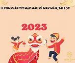 Tết 2023 Các Con Giáp Nên Mặc Màu Gì