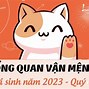 Xin Việc Tuổi 38 Tuổi Con Gì 2023